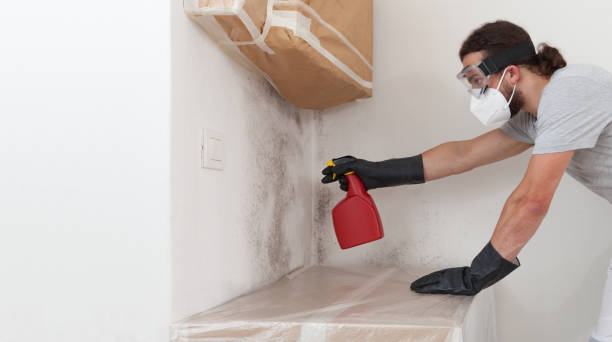 Professional Mold Removal technician working in Arcadia, MI